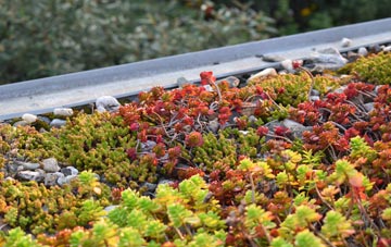 the cost of Buckminster green roof installation