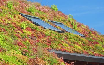 Buckminster living roof systems